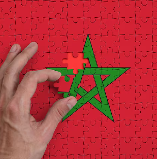 ركائز أساسية لخط تنموية